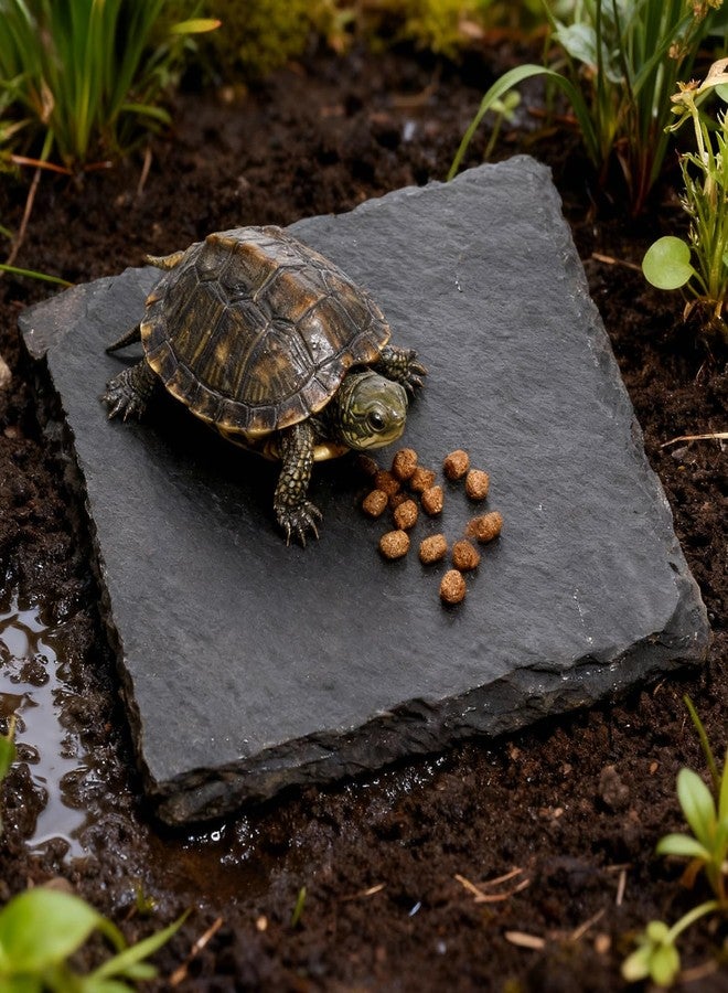 Alrhso Turtle Basking Platform Slate for Reptiles 3.9 X 3.9 Inch Tortoise Basking Stone for Reptiles Bearded Dragon Accessories for Lizards, Chameleons, Geckos, Turtles, Reptile - Image 3